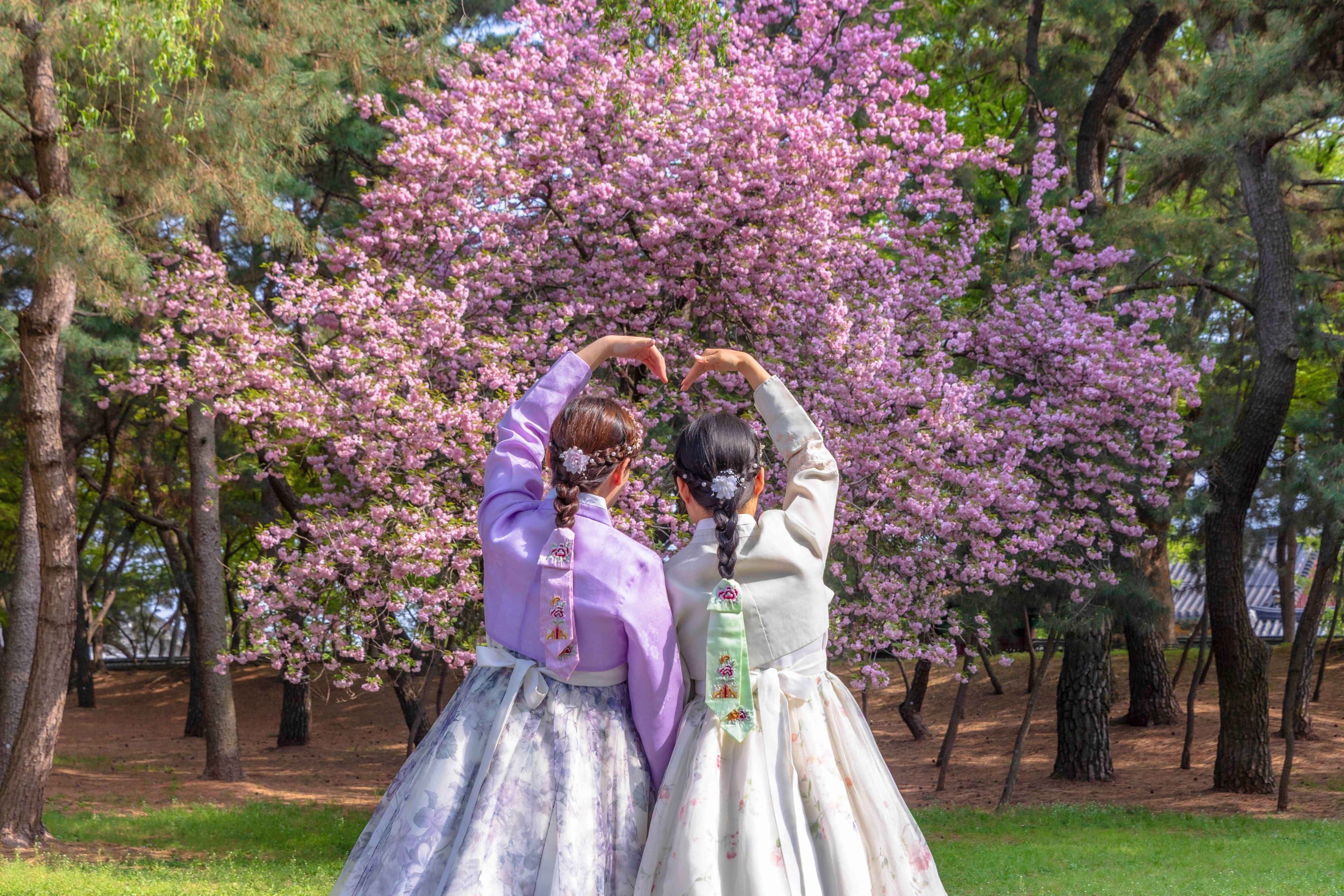 Korean Society & Culture